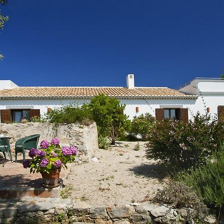 Monte Do Alamo - Turismo Rural Tavira Exterior foto